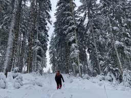Schneeschuhwanderung Darmstädter Hütte, Januar 2026